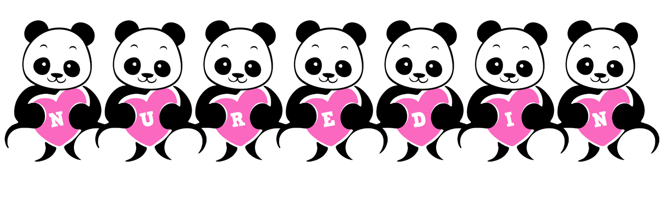 Nuredin love-panda logo