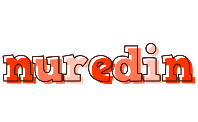 Nuredin paint logo