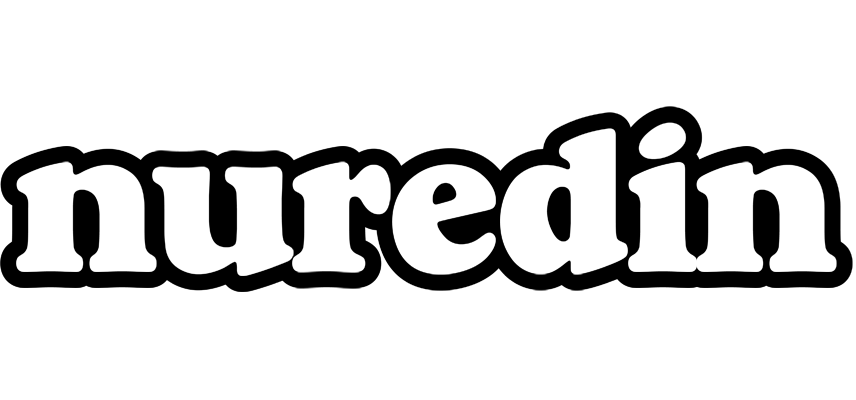 Nuredin panda logo