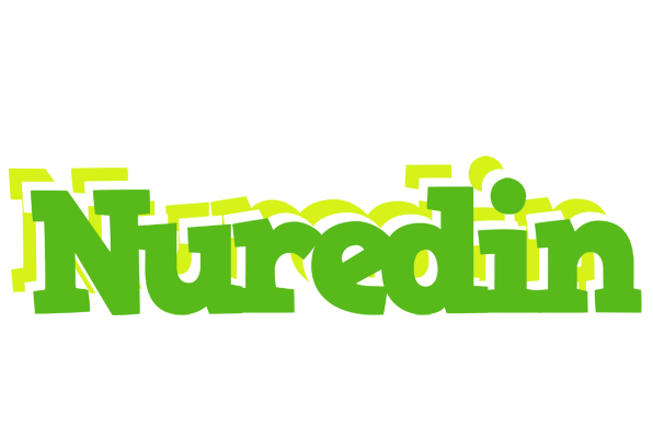 Nuredin picnic logo