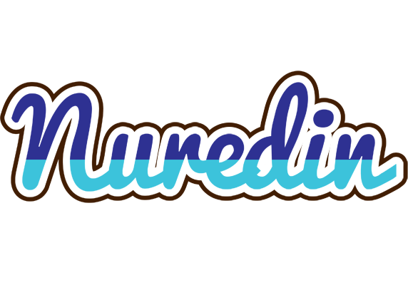 Nuredin raining logo