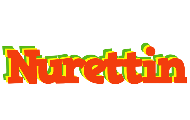 Nurettin bbq logo