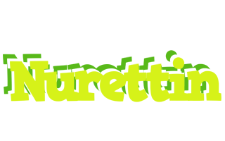 Nurettin citrus logo