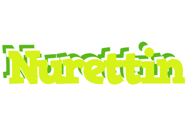 Nurettin citrus logo