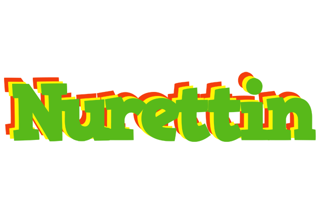 Nurettin crocodile logo