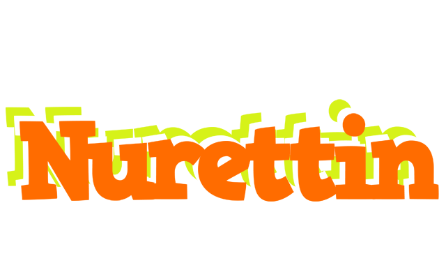 Nurettin healthy logo