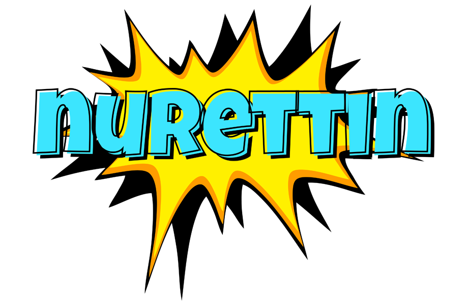 Nurettin indycar logo