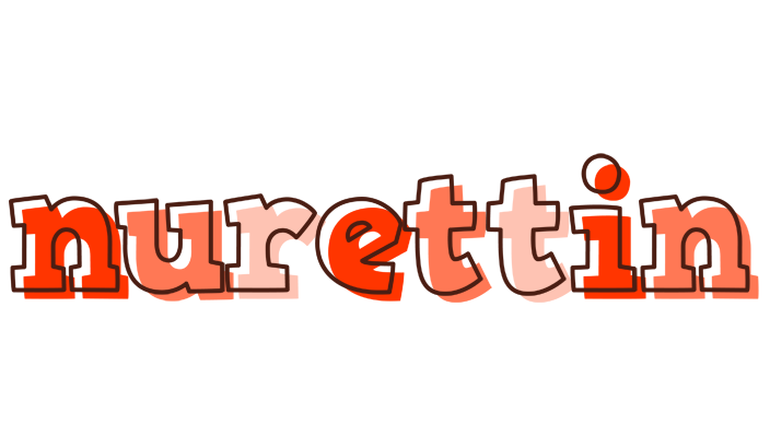 Nurettin paint logo