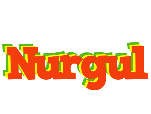 Nurgul bbq logo