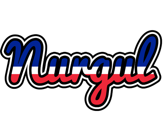 Nurgul france logo