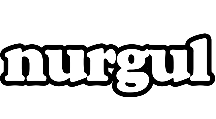 Nurgul panda logo