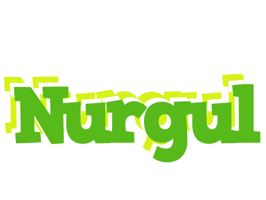 Nurgul picnic logo