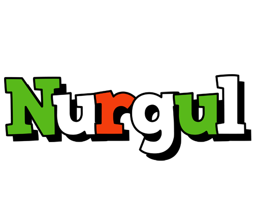 Nurgul venezia logo