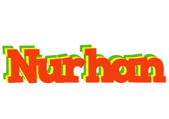 Nurhan bbq logo