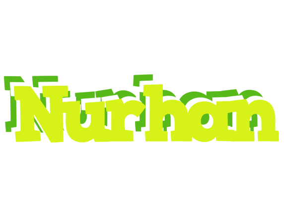 Nurhan citrus logo