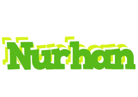 Nurhan picnic logo