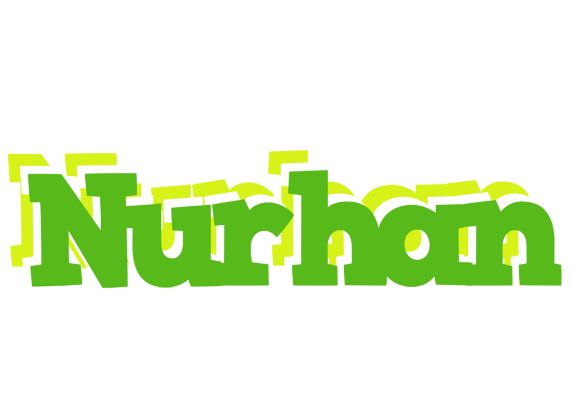 Nurhan picnic logo