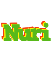 Nuri crocodile logo