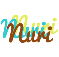 Nuri cupcake logo