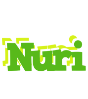 Nuri picnic logo