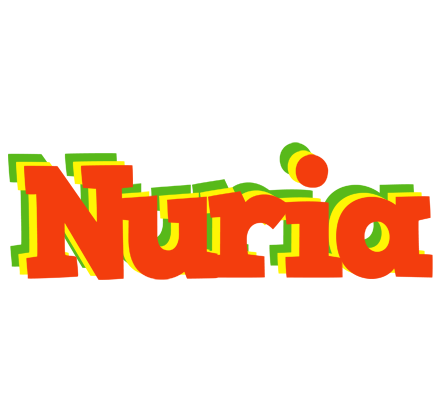 Nuria bbq logo