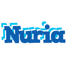 Nuria business logo