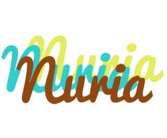 Nuria cupcake logo