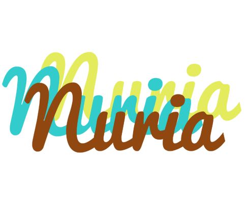Nuria cupcake logo