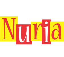 Nuria errors logo