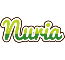 Nuria golfing logo