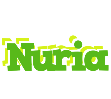 Nuria picnic logo