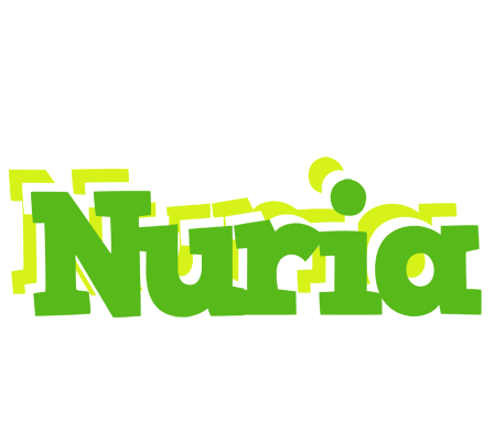 Nuria picnic logo
