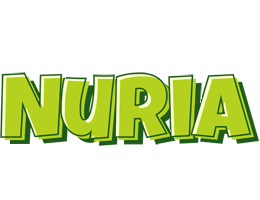 Nuria summer logo