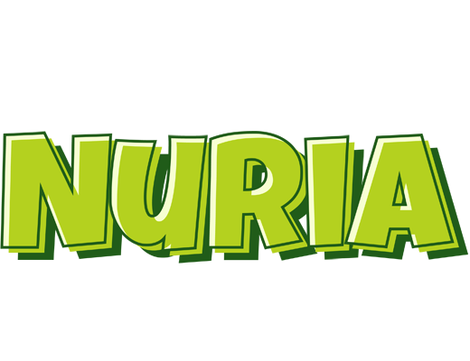Nuria summer logo
