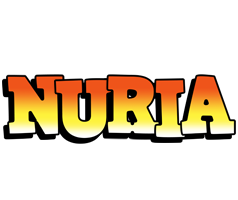 Nuria sunset logo