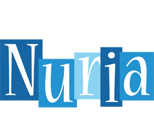 Nuria winter logo