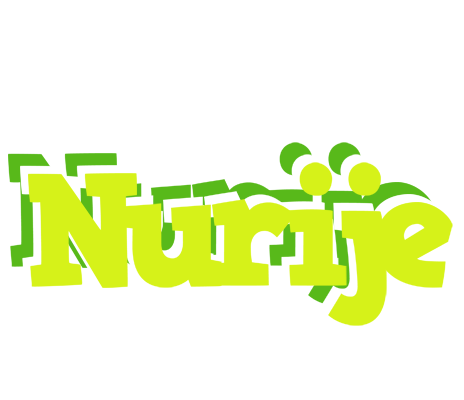 Nurije citrus logo