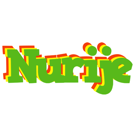 Nurije crocodile logo