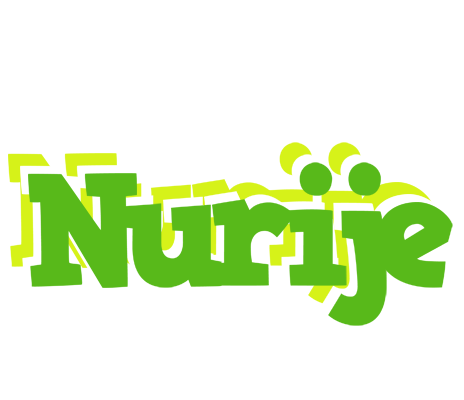 Nurije picnic logo