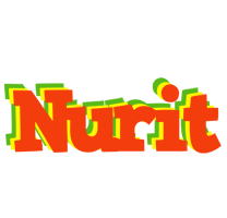 Nurit bbq logo