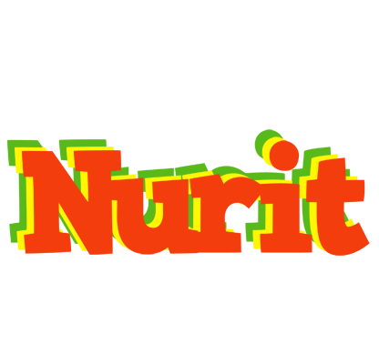 Nurit bbq logo
