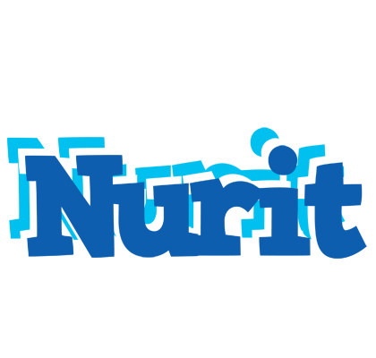 Nurit business logo