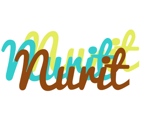 Nurit cupcake logo