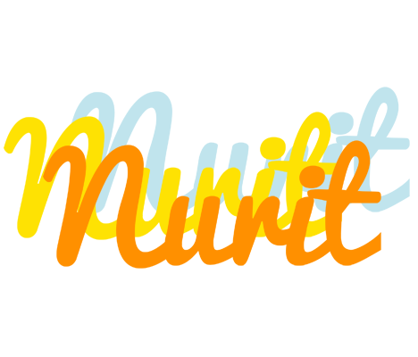 Nurit energy logo