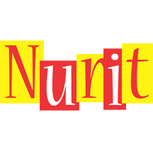 Nurit errors logo