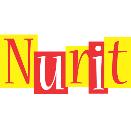 Nurit errors logo