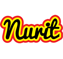 Nurit flaming logo