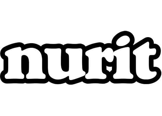 Nurit panda logo