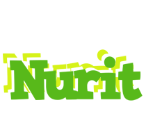 Nurit picnic logo