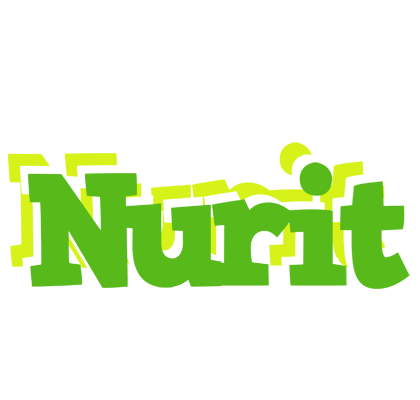 Nurit picnic logo